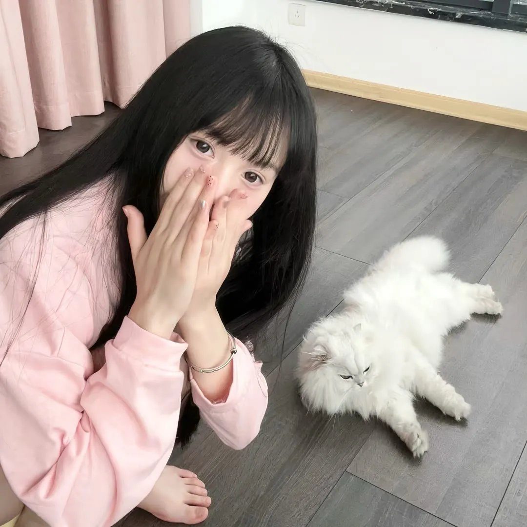 集中营里的摄影师 在线观看